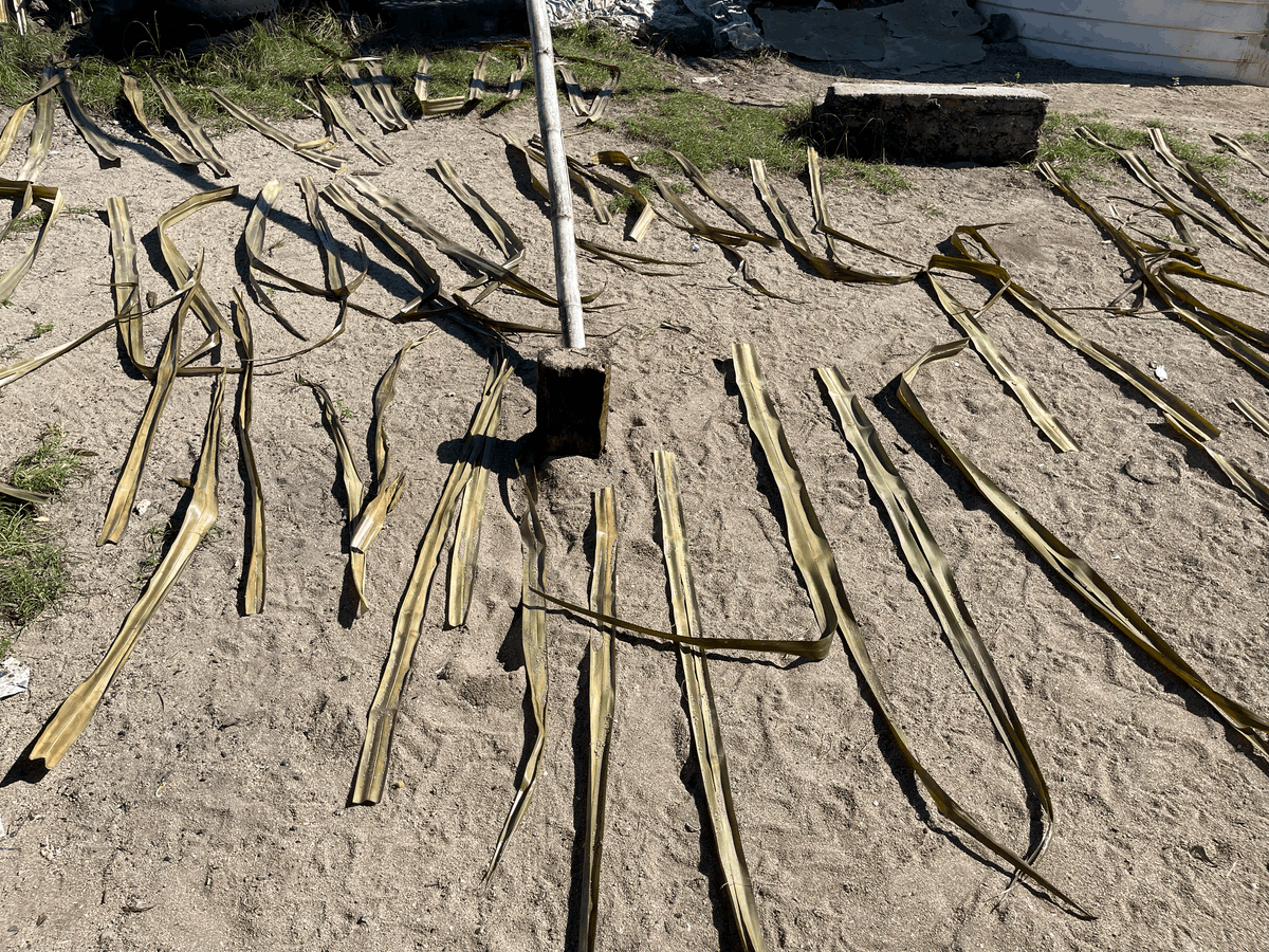 Voivoi - Pandanus Straw Leaves