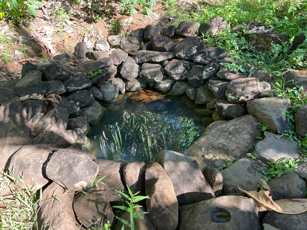 Wai dradranu - Bathing Pond