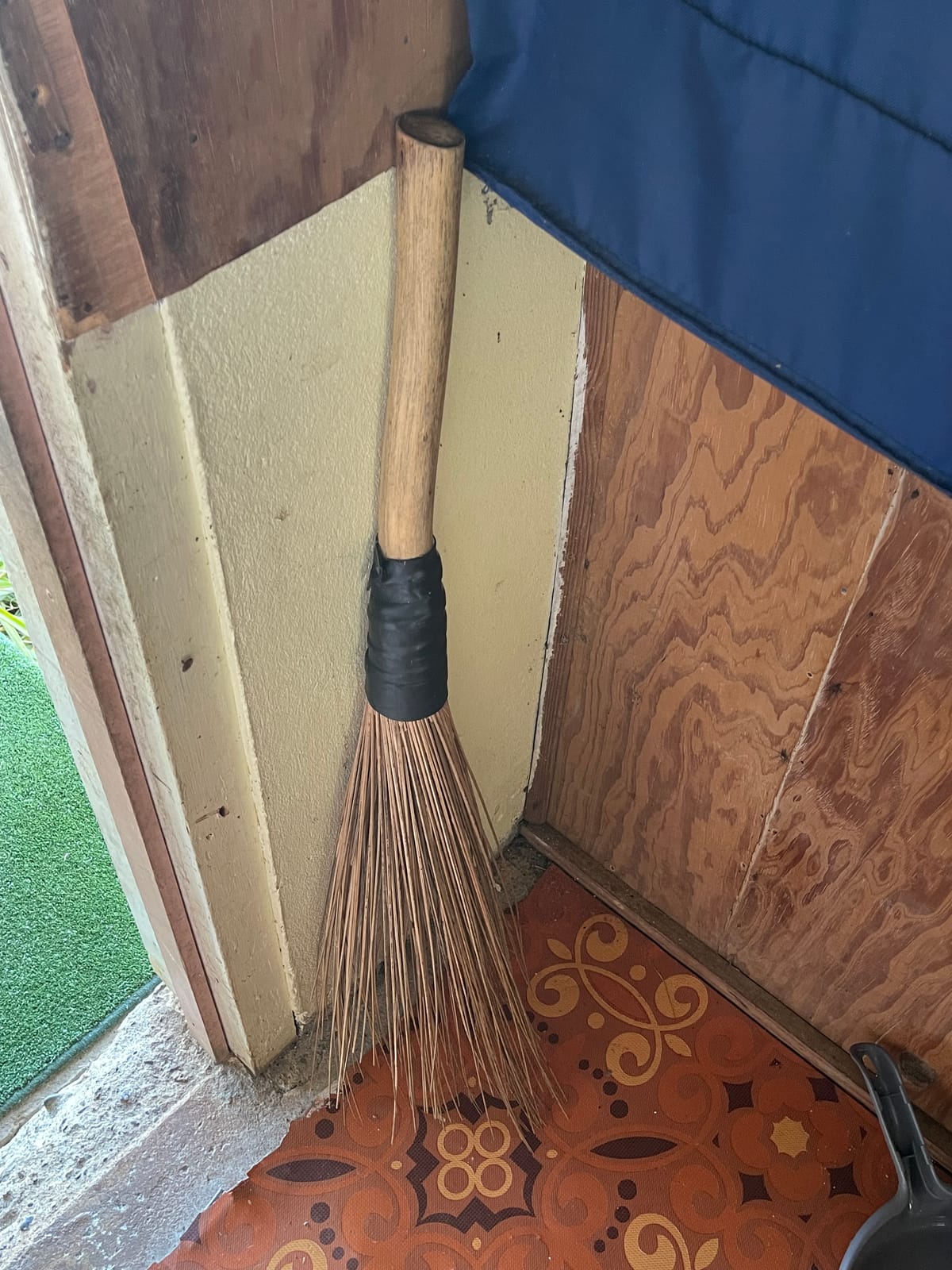 Sasa - Broom
