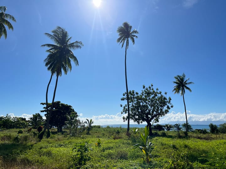 Buno Levu - Sweating a lot