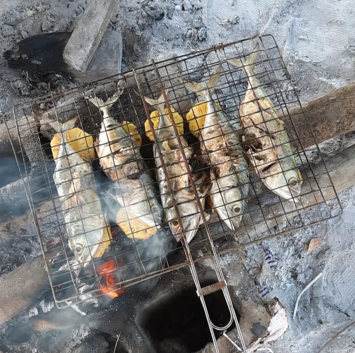 Buka - Firewood