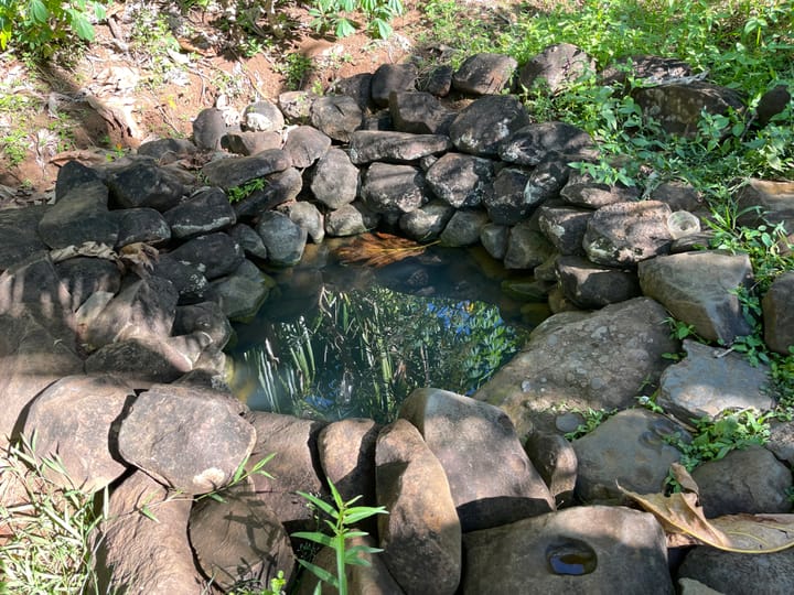 Wai dradranu - Bathing Pond