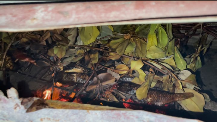 Ika Vesa - Smoked Fish