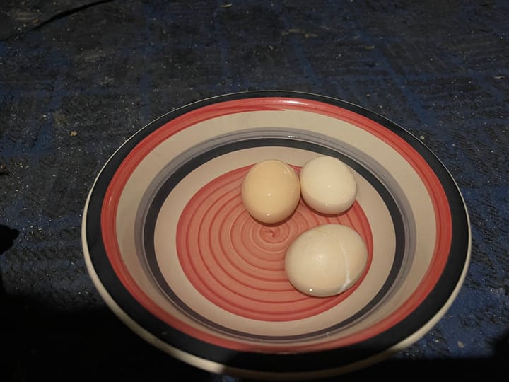 Yaloka - Egg