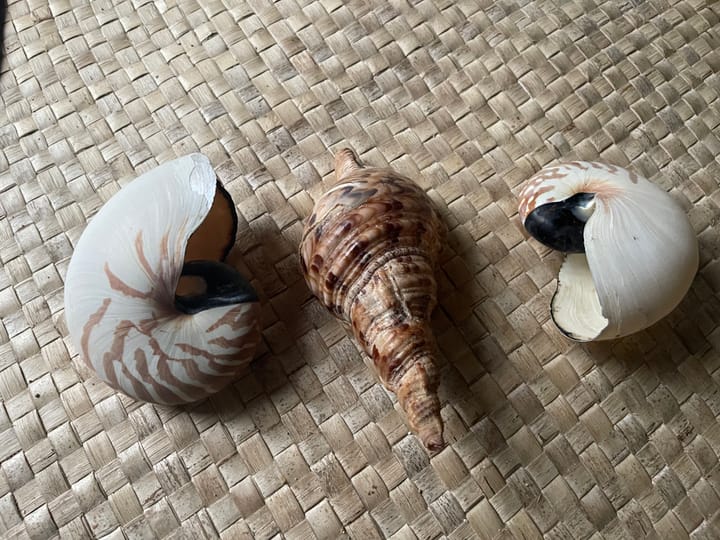Sici - Shell